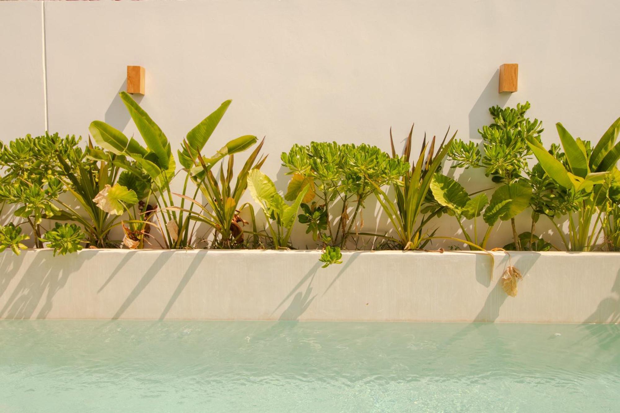 Casa Raffaella Modern Apartments With Ac Pool Starlink Puerto Escondido  Luaran gambar