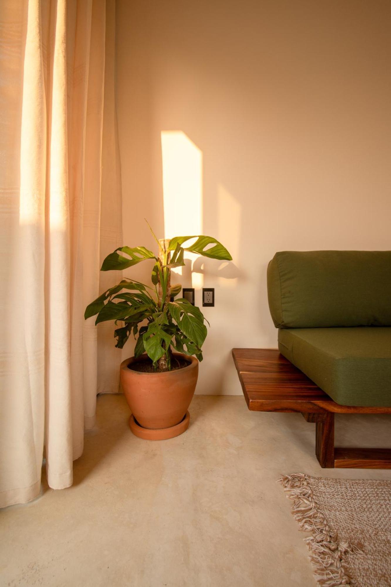 Casa Raffaella Modern Apartments With Ac Pool Starlink Puerto Escondido  Luaran gambar